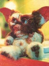 Gremlins gizmo stitch parody fan art. Free Sweet Gremlins Wallpaper For Mobile And Cell Phone Gremlins Animales Dibujos