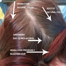 Lush Henna Hair Dye Color Chart Www Bedowntowndaytona Com