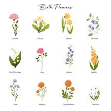Well you're in luck, because here they come. Family Birth Flowers Print Birth Flowers Birth Flower Tattoos Birth Month Flowers