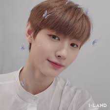 Hd wallpapers and background images Enhypen Wallpaper Enhypenwallpape Twitter