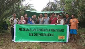 Start planning for kelapa sawit. Serikat Petani Kelapa Sawit Spks