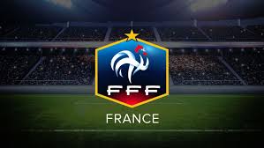 Parmi les sélections nationales, l'equipe de france est certainement celle qui nous intéresse le plus. Les Bleus De Didier Deschamps L Equipe De France L Express