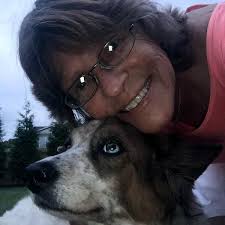 Temporary foster for small dogs needed