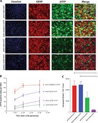 Image result for Gold 1996 AAV