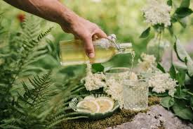 Il sambuco (sambucus nigra, da non confondere con il velenoso sambucus ebulus) è un arbusto che cresce fino ai 4 metri d'altezza, molto diffusto la prima è una ricetta per succo di fiori di sambuco. Sciroppo Di Sambuco Ricetta Della Nonna Elsa