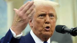 Gianluca Vacchi, Luis Sal e sex worker: gli influencer pizzicati dalla  Finanza. Recuperati milioni di euro