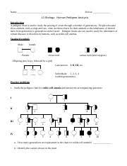 Lift where you stand a new building filled with social. 15 L3 Pedigree Analysis Name Period L3 Biology Human Pedigree Analysis Introduction A Pedigree Chart Is Used To Study The Passing Of A Trait Course Hero