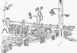 Gambar gajah kartun berwarna, gambar gajah lucu, gambar gajah kartun hitam putih, gambar sumber gambar : Gambar Sketsa Kebun Binatang