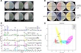 Production Of Ammonia As A Low Cost And Long Distance