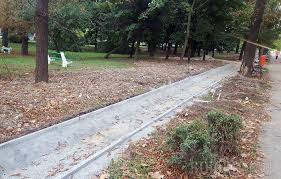 La locul de unde tinerii ieseni au cules iarba celor doi sateni au ramas doar niste cioturi. Mai Avem Nevoie Si De Iarba Lucrarile La Pista De Alergare Din Parcul