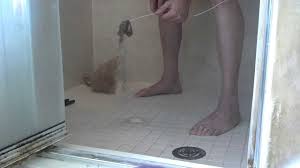 Simply pour a cup of whichever liquid chemical. 11 Tips To Unclog A Shower Drain