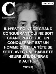 Damilaville, le 15 février 1764. Toutes Les Citations De Voltaire Citation Inspiration Com