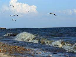 Я много лет приезжала на отдых на азовском море по 2 раза в год, как летом, так и зимой. Azovskoe More Taganrogskij Zaliv Protaganrog