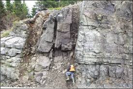 PRELIMINARY FINDINGS ON THE GEOLOGY OF THE TRINITY MAP AREA (NTS 2C/06),  NEWFOUNDLAND