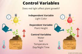In maths, a variable is an alphabet or term that represents an unknown number or unknown value or unknown quantity. What Is A Control Variable Definition And Examples
