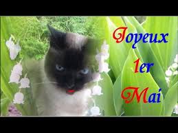 Remerciez en beauté avec cette carte qui met en scène un joli pot de muguet. 1er Mai Brin De Muguet Virtuel A Offrir Youtube