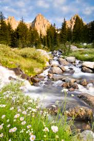 Create unique & inspiring spaces with trending artwork at everyday low prices. Spring Flowers And Flowing Water Below Mount Ritter And Banner Ansel Adams Wilderness Area Sierra Nevada California Stockphoto