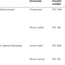 Image result for Sericanthe chimanimaniensis