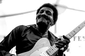 Image result for Albert Collins