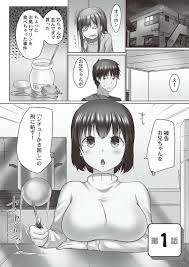 プリンを食べられたことがきっかけで兄と喧嘩したがすぐに仲直りし、ディープキスしまくる美少女義妹…興奮する兄に手マンされてイッてしまい、激しい生ハメイチャラブセックスしてイキまくる【かいづか： おーばーふろぉ〜とある兄妹の禁断性交〜第１話】 | エロ漫画の禿 ...