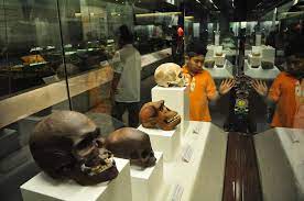 Check spelling or type a new query. Harga Tiket Muzium Negara 2021 Tips Peta Lokasi