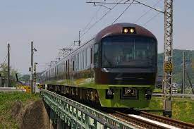 クマガイソウと鉄のヤマドリ激写 鉄道 写真 列車 トレイン