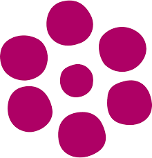 Salzburgmilch ist die größte molkerei salzburgs und die drittgrößte österreichs. Premium Original Bergkase Scheiben 150g Salzburgmilch