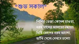 Loving someone is the best feeling in the world but that without effort nothing lasts forever. Bengali Good Morning Quotes Messages Kobita Status For Friends And Gf