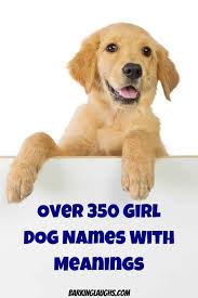 For your choice, we have compiled a list of the very best black dog girl's names. Female Dog Names And Meanings Girl Dog Names Female Dog Names Puppy Names