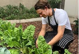 Heeft geneigd (volt.deelw.) toon alle vervoegingen buigen © kernerman dictionaries. Chef Rens Portzgen Neigen Moestuin Picture Of Cafe De Groen Arnhem Tripadvisor