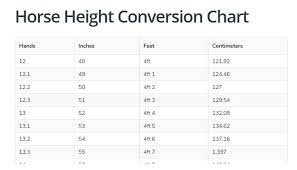 One meter is equal to 100 centimeters: Horse Height Conversion Chart Hands Feet Inches Centimetres