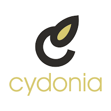 Image result for Cydonia
