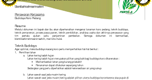 Surat penawaran termasuk salah satu contoh surat resmi. Contoh Surat Penawaran Negosiasi Pendek Contoh Surat