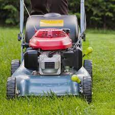 Explore wilko's plant and lawn care range to keep your garden looking vibrant and healthy. Grass Seed Fertilisers Lawn Care Tips Articles Lawn Uk