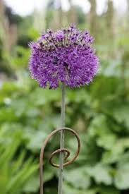 6 pack plant support plant stakes, leobro metal plant supports for the garden, plant cage, plant support ring, plant support stake for tomato, hydrangea, indoor leafy plants, 9.4 wide x 15.6 high. 900 Garden Ideas In 2021 Garden Garden Design Garden Inspiration