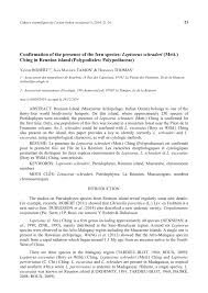 Image result for Lepisorus schraderi