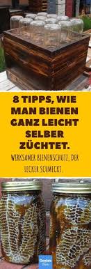 8 Tipps Wie Man Bienen Ganz Leicht Selber Zuchtet Bienenstock Bienen Zuchten Bienengerechter Garten Bienen Gerechter Garten Bienen Zuchten Bienen Zuchten