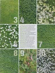 Image Result For 10 Fave No Grass Backyards Landscaping Design Rasen Alternative Landschaftsbau Garten