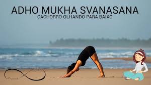 Yoga Para Iniciantes 06 Down Dog Adho Mukha Svanasana Ioga Yoga Yoga Para Iniciantes