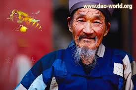 道教世界 Dao World