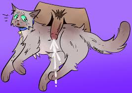 Rule34 - If it exists, there is porn of it  shane dawson  4395592