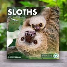 Most adopt me codes basically rewards you mostly with bucks. The Sloth Conservation Foundation Official Website