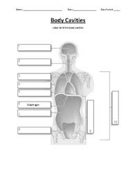 We can create a dictionary to contain these values and then get the quadrant position name using something like Body Cavities Worksheets Teaching Resources Teachers Pay Teachers