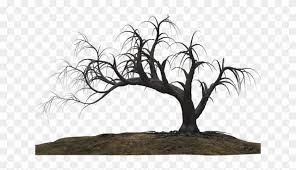 Pngkit selects 6086 hd tree png images for free download. Dead Tree Clipart Transparent Background Jesus Good Morning Quote Hd Png Download 640x480 6227495 Pngfind