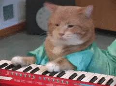 Top 30 Keyboard Cat Gifs Find The Best Gif On Gfycat