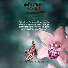 Pin On Mufti Ismail Menk