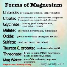 Mag Citrate Is Fine And Oxate Should Be Avoided Forms Of Magnesium Health And Nutrition Holistic Health Health