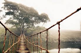 Jungle Journey By Skip Nall Bridge Art Bridge Canvas Rope Bridge