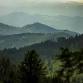 An Introduction to Acrylic Painting Workshop- Rolling Mountains