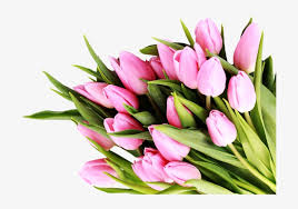 Bouquet of flowers hd images free download. Bouquet Flowers Png Transparent Images Free Download Sweet Saturday Png Image Transparent Png Free Download On Seekpng